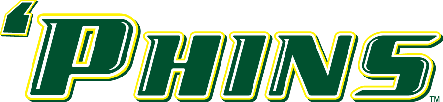 Le Moyne Dolphins 2008-Pres Wordmark Logo v3 diy DTF decal sticker